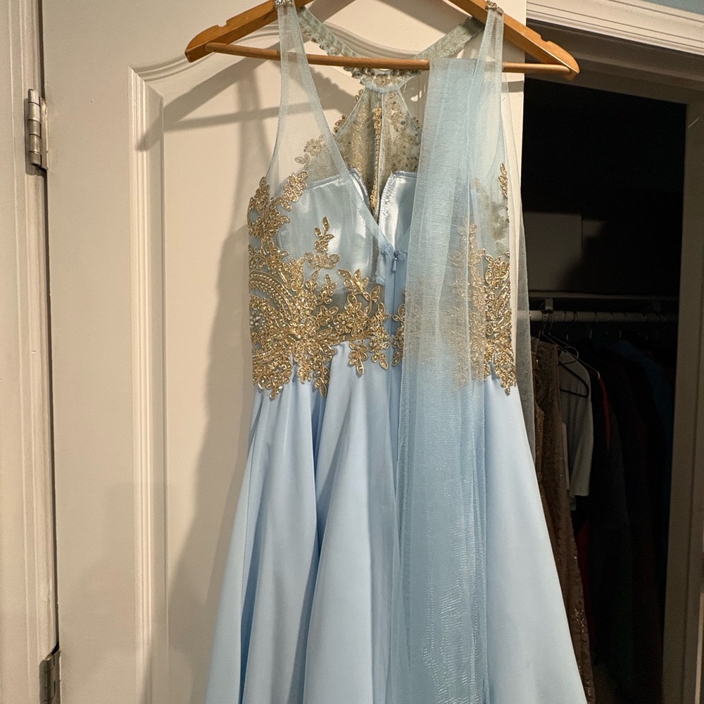 Elegant Light Blue Gown with Gold Embroidery